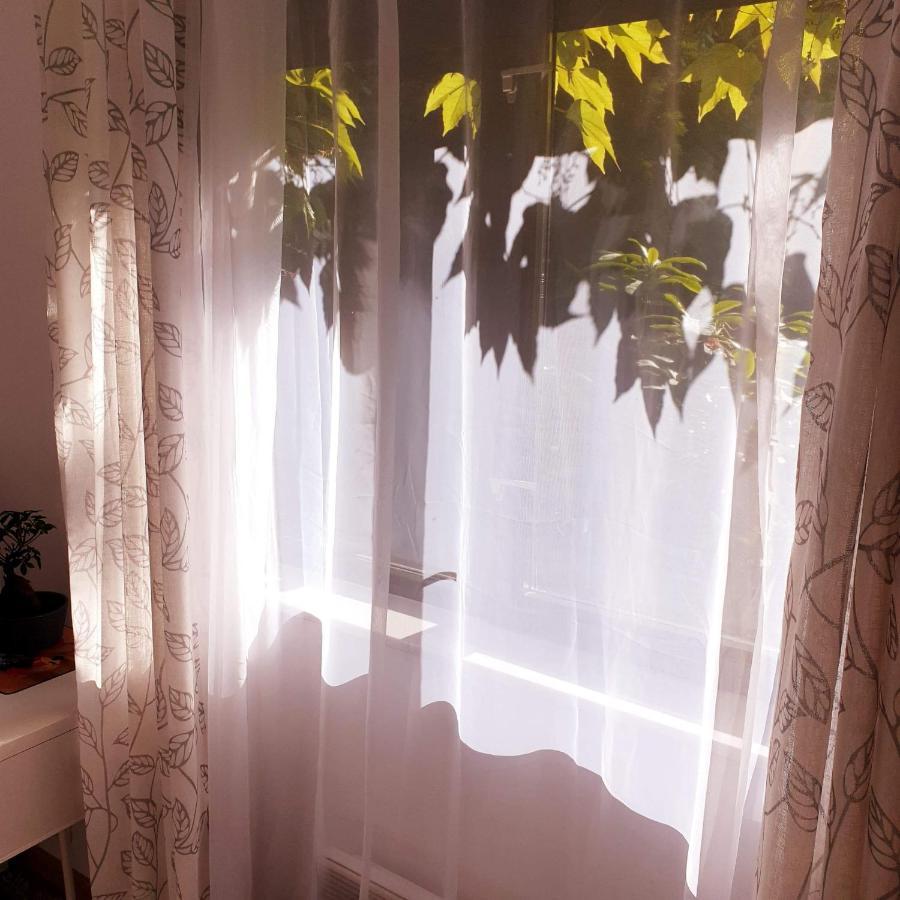 Ochota Forest Guest House Warsaw Ngoại thất bức ảnh